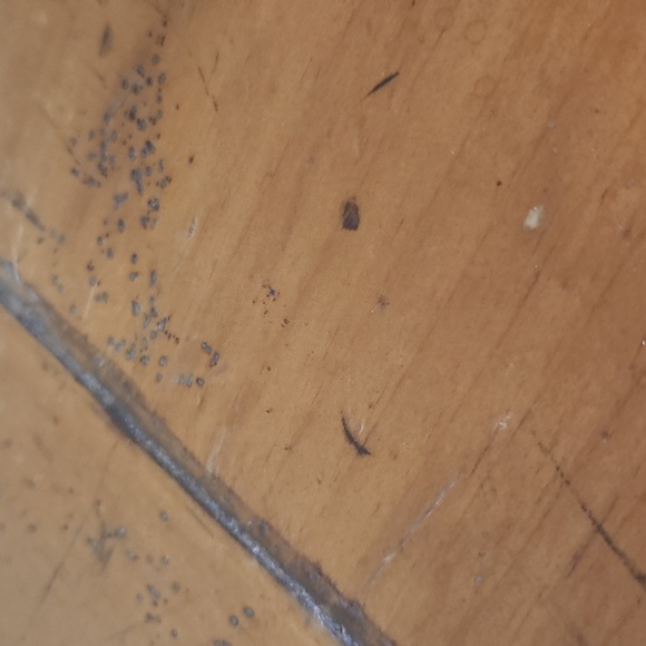 NWOT Vince Camuto Hasyl sandals beige and white fancy flip flopswith real stones - Picture 11 of 11